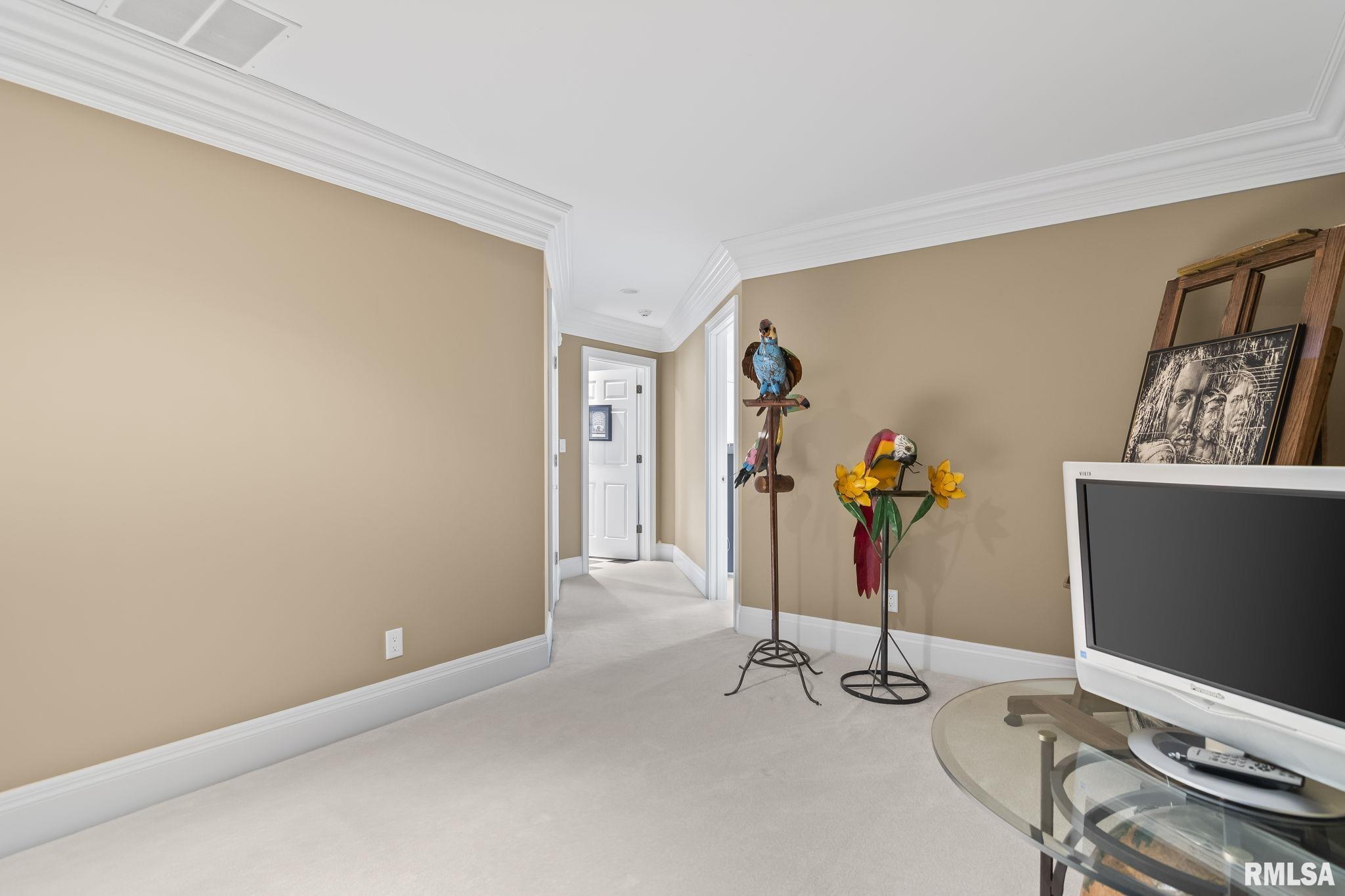 4 Fox Point Rochester, IL 62563 - Photo 56 of 81