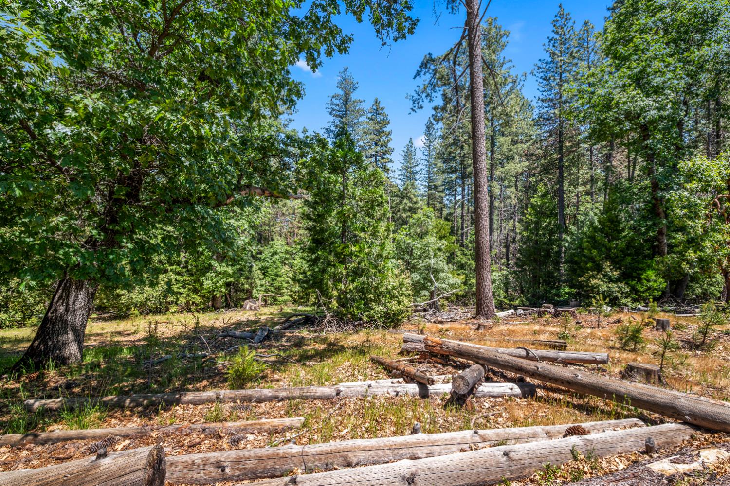 6324 Dickinson Road Placerville, CA 95667 - Photo 11 of 37 a view of a yard with plants and trees