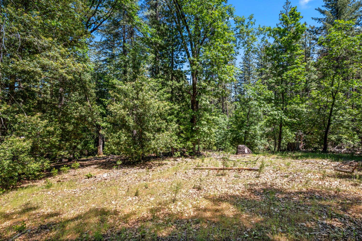 6324 Dickinson Road Placerville, CA 95667 - Photo 12 of 37 a view of outdoor space and yard