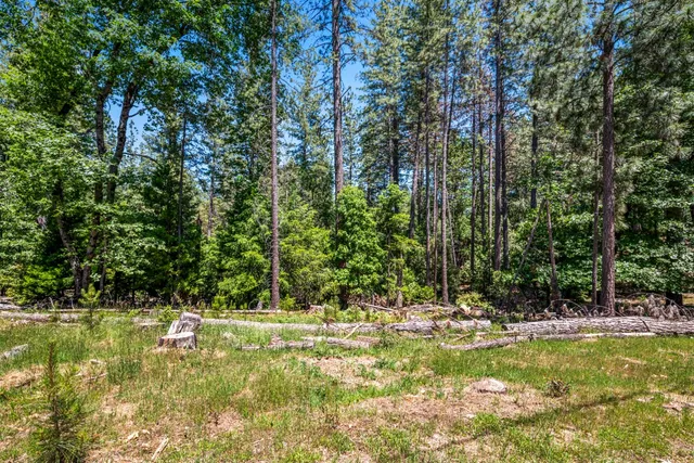 a view of swimming pool and trees
