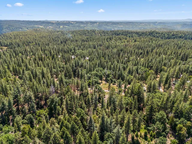 a view of a city with lush green forest