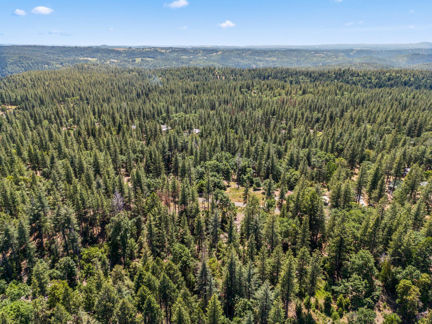 6324 Dickinson Road Placerville, CA 95667 - Photo 18 of 37 a view of a city with lush green forest