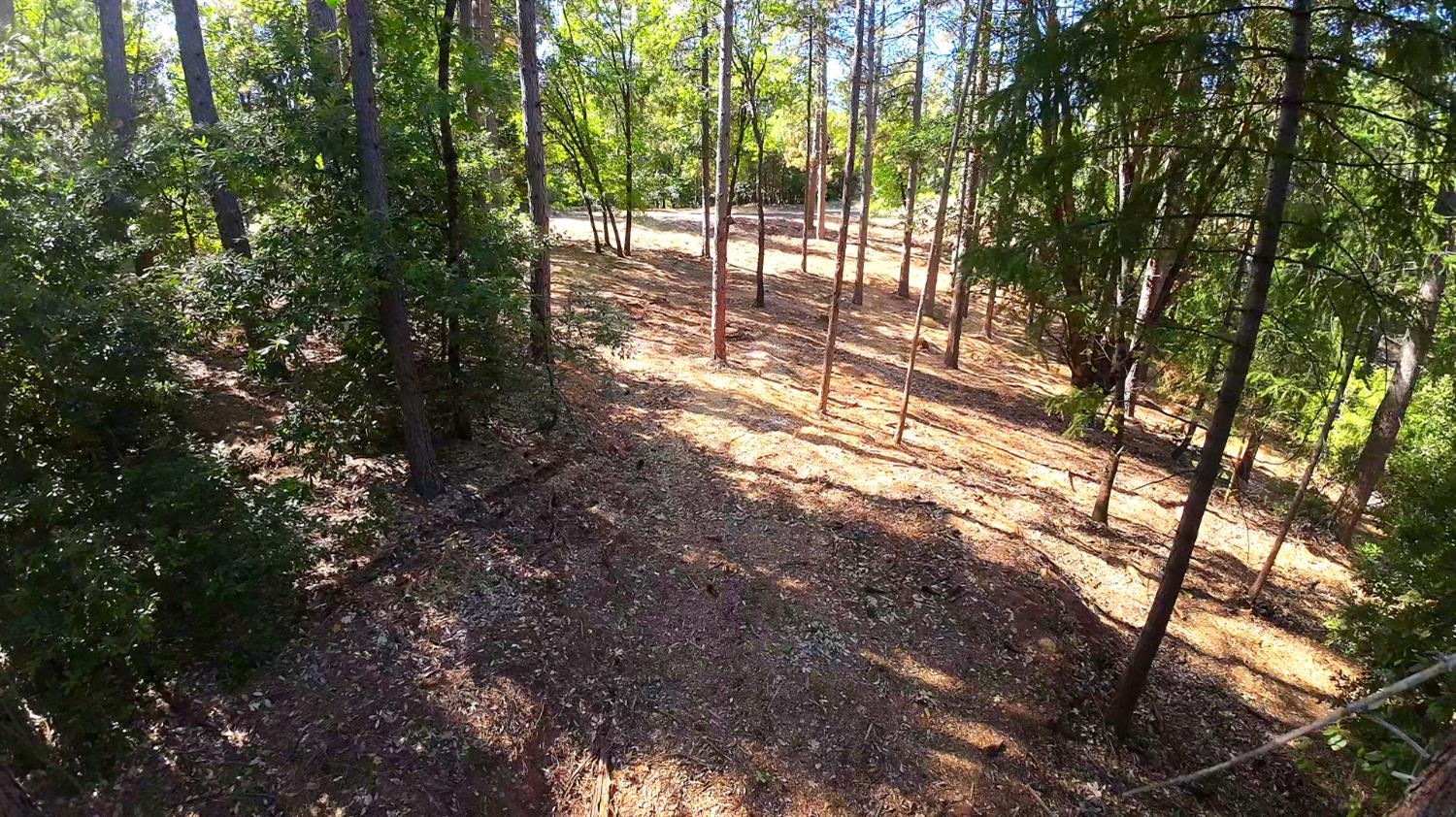 6324 Dickinson Road Placerville, CA 95667 - Photo 27 of 37 a view of yard