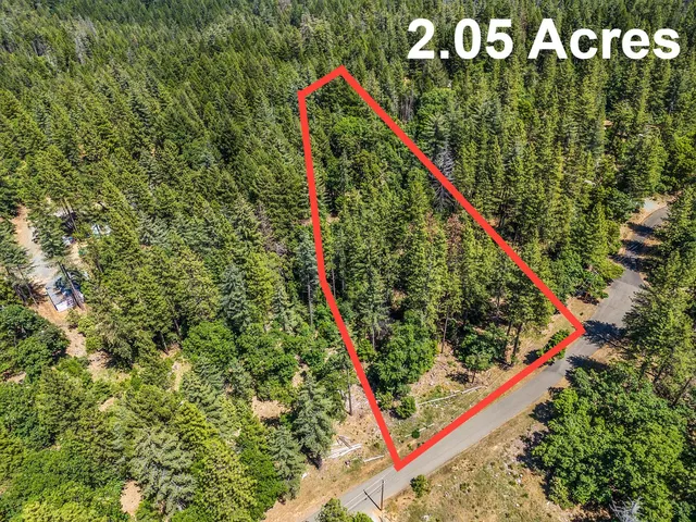 a view of a bird bath tub