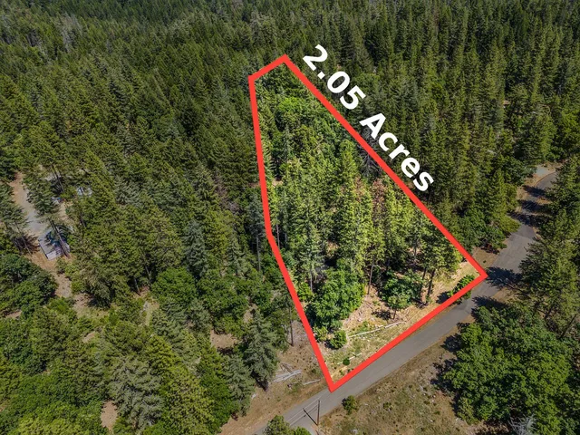 a view of outdoor space and trees