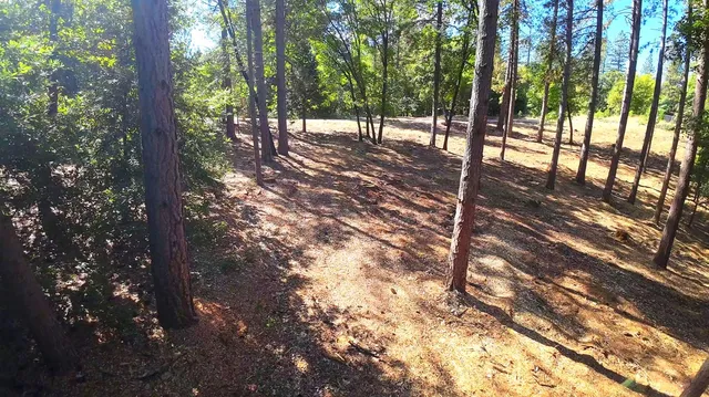 a view of road and trees