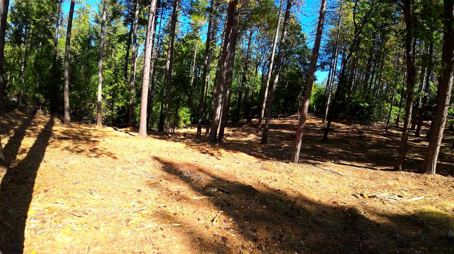 6324 Dickinson Road Placerville, CA 95667 - Photo 36 of 37 a view of a yard covered in snow