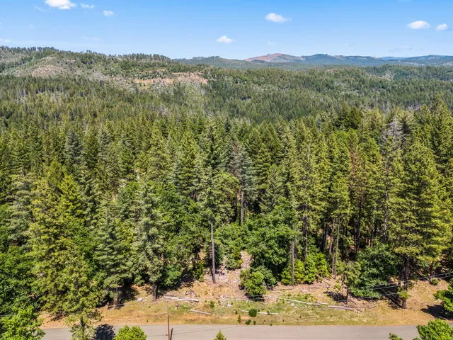 a view of a lush green field