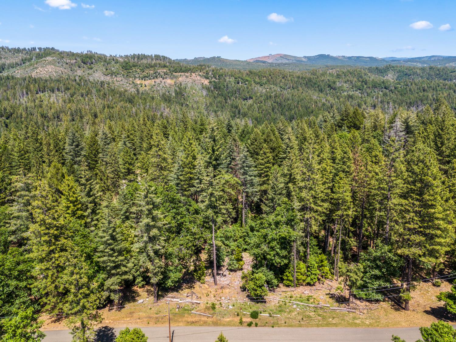 6324 Dickinson Road Placerville, CA 95667 - Photo 4 of 37 a view of a lush green field