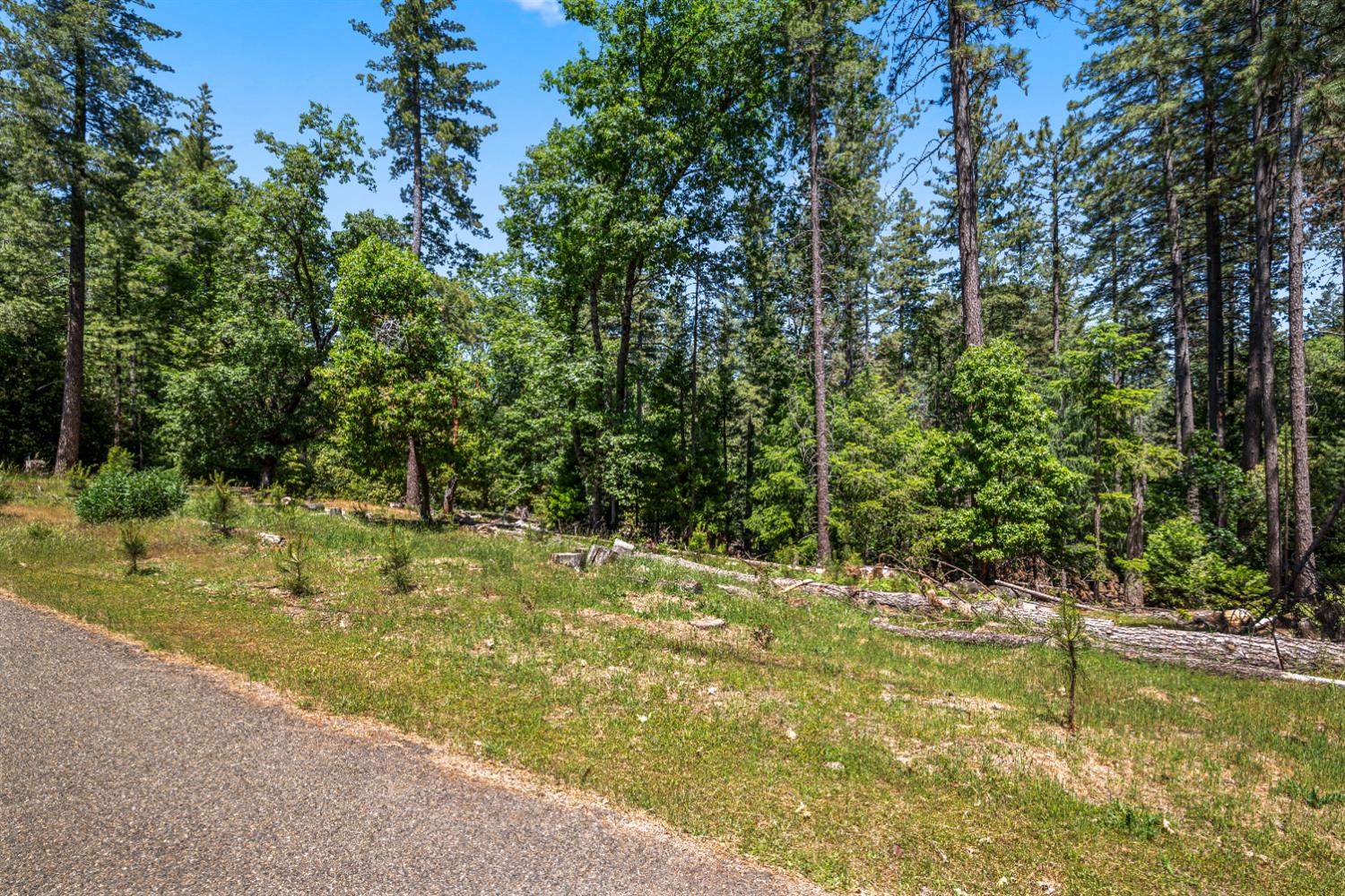 6324 Dickinson Road Placerville, CA 95667 - Photo 5 of 37 a view of swimming pool from a yard