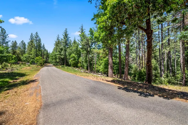a view of a street with a trees