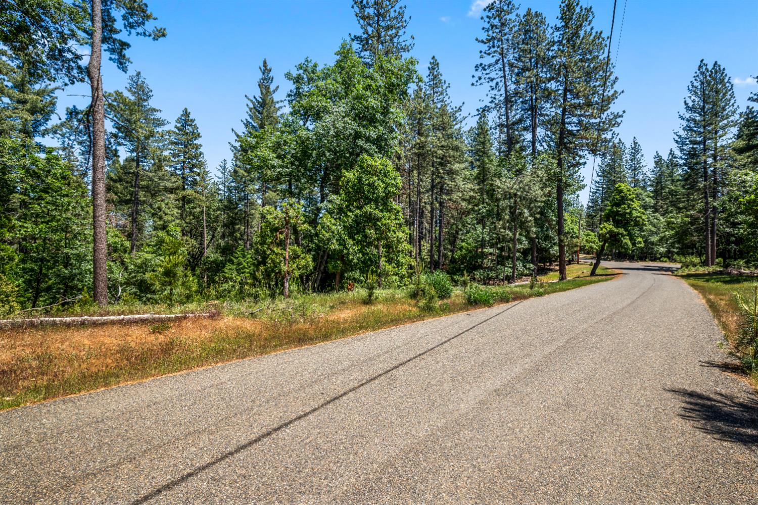 6324 Dickinson Road Placerville, CA 95667 - Photo 10 of 37 a view of a street with a trees