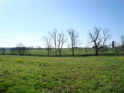 375 Stoney Point Road Paris, KY 40361 - Photo 6 of 25 Photo 6