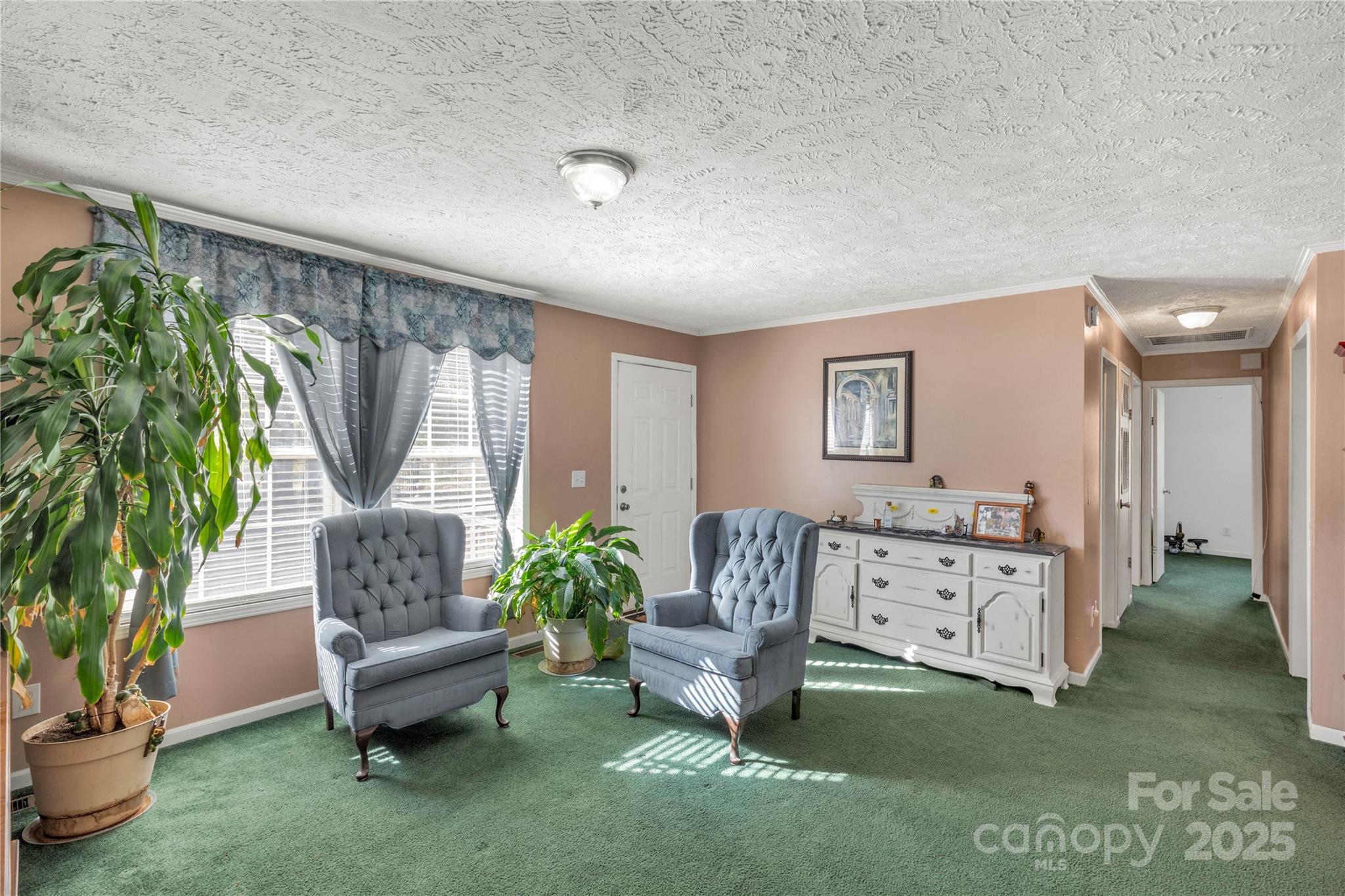 928 Neds Creek Road Kershaw, SC 29067 - Photo 18 of 38 a living room with furniture and a potted plant