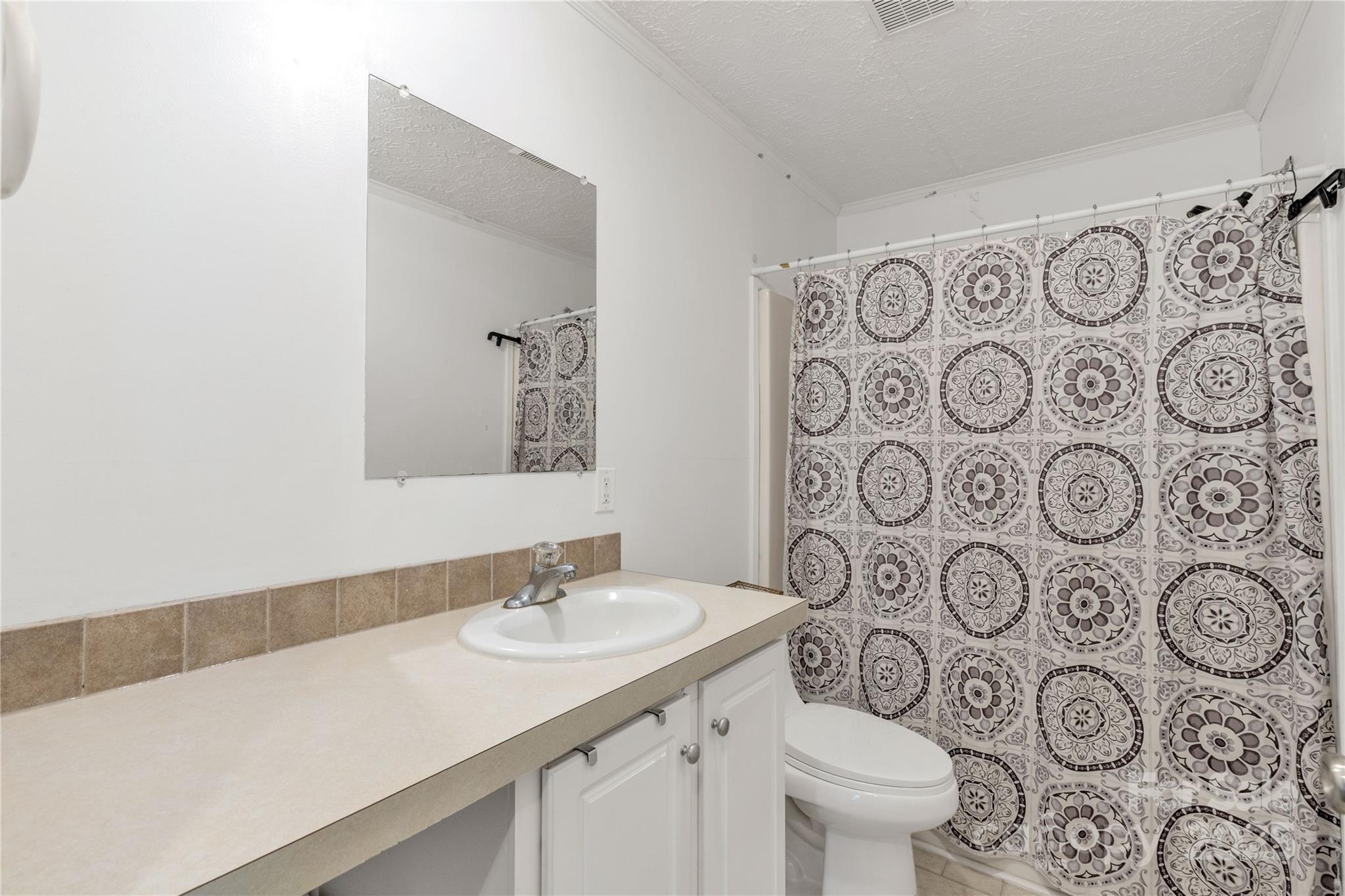 928 Neds Creek Road Kershaw, SC 29067 - Photo 21 of 38 a bathroom with a sink and mirror with toilet