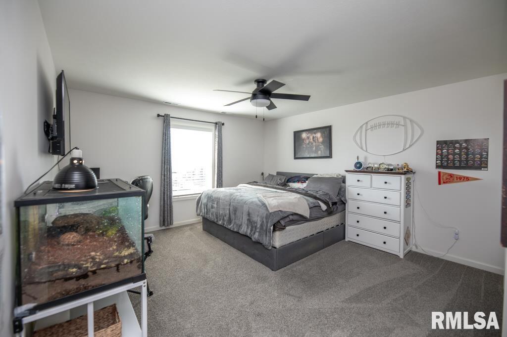 4010 West Fiona Way Dunlap, IL 61525 - Photo 14 of 20