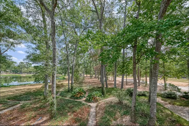 a green field with lots of trees in it