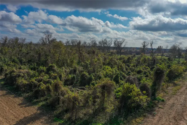$50,000 | 0 County Road 241, Wharton, TX 77488