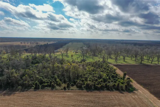 a view of a garden with a pathway
