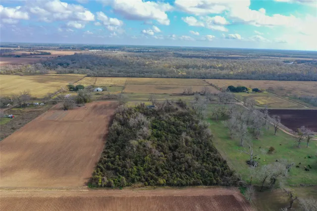 a view of a yard with an outdoor space