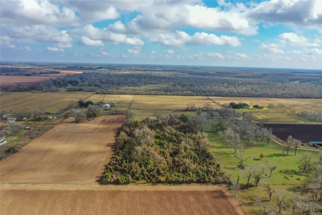 a view of a city with lush green forest