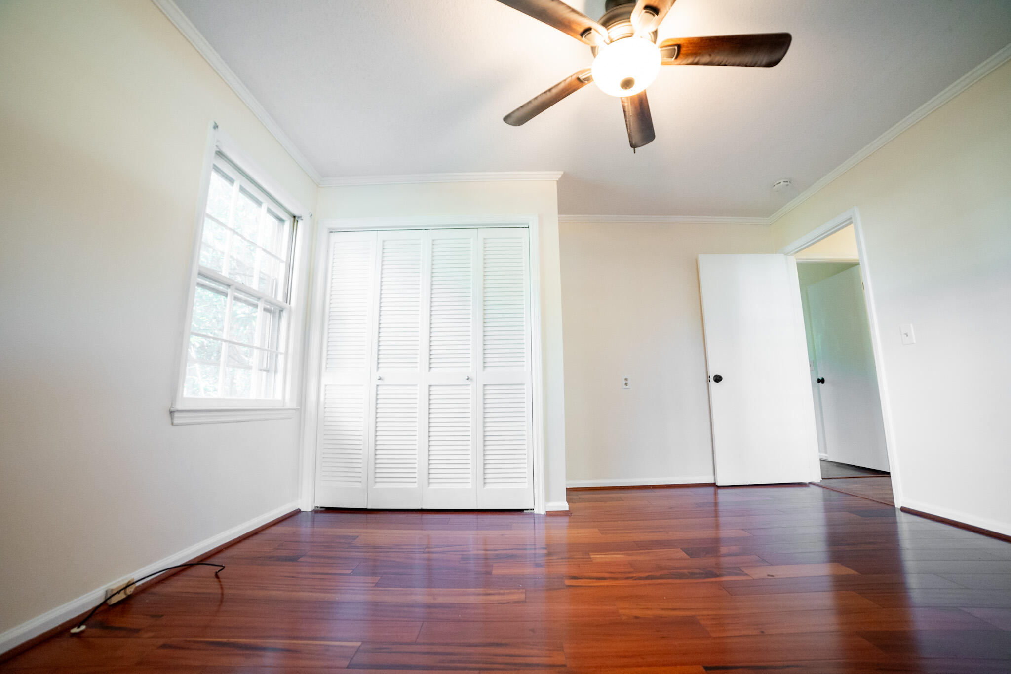 319 Partridge Road Orangeburg, SC 29118 - Photo 29 of 43 Gallery Image 29