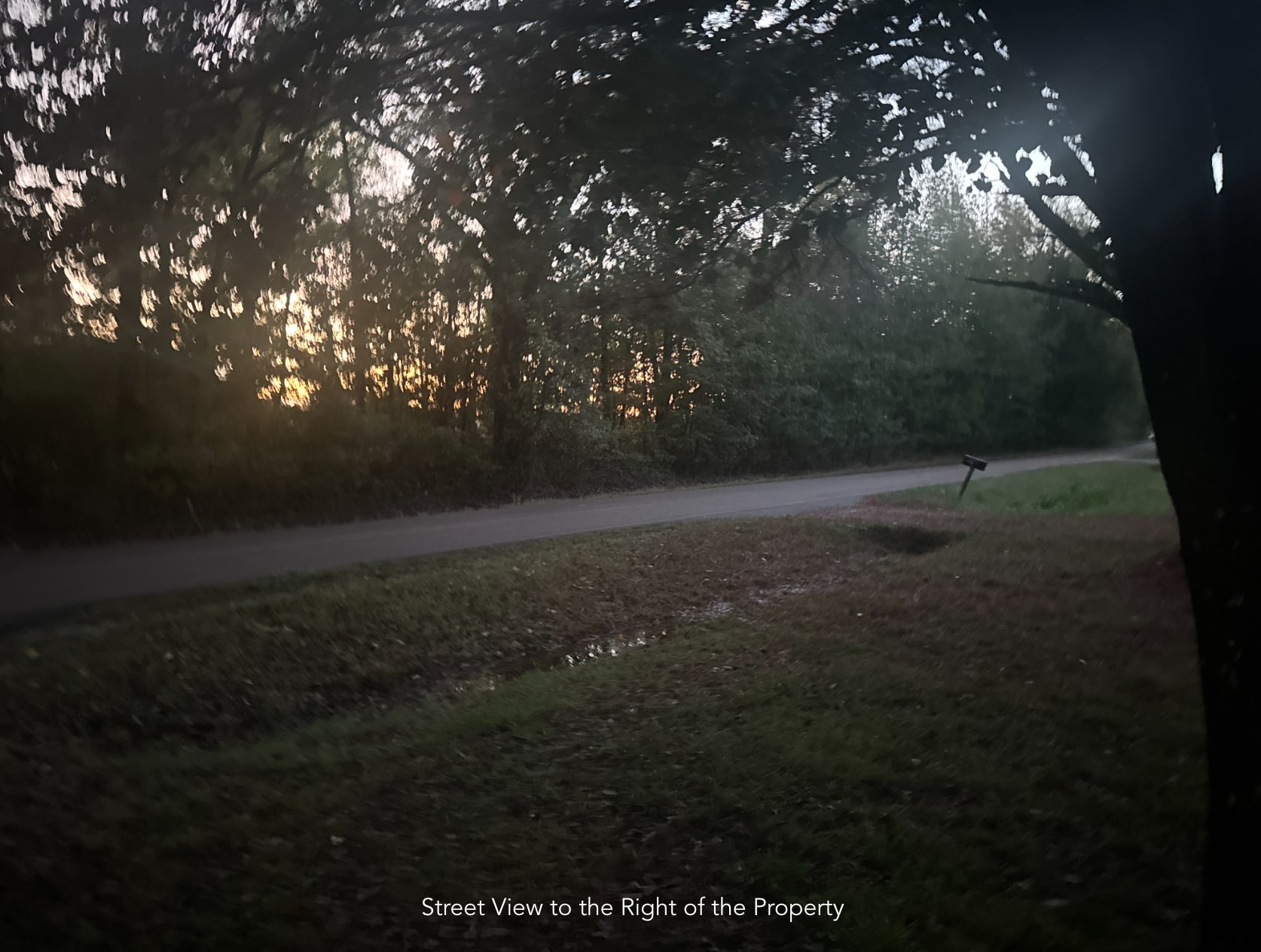 1047 Perry Switch Road Jackson, TN 38301 - Photo 11 of 36 a view of yard