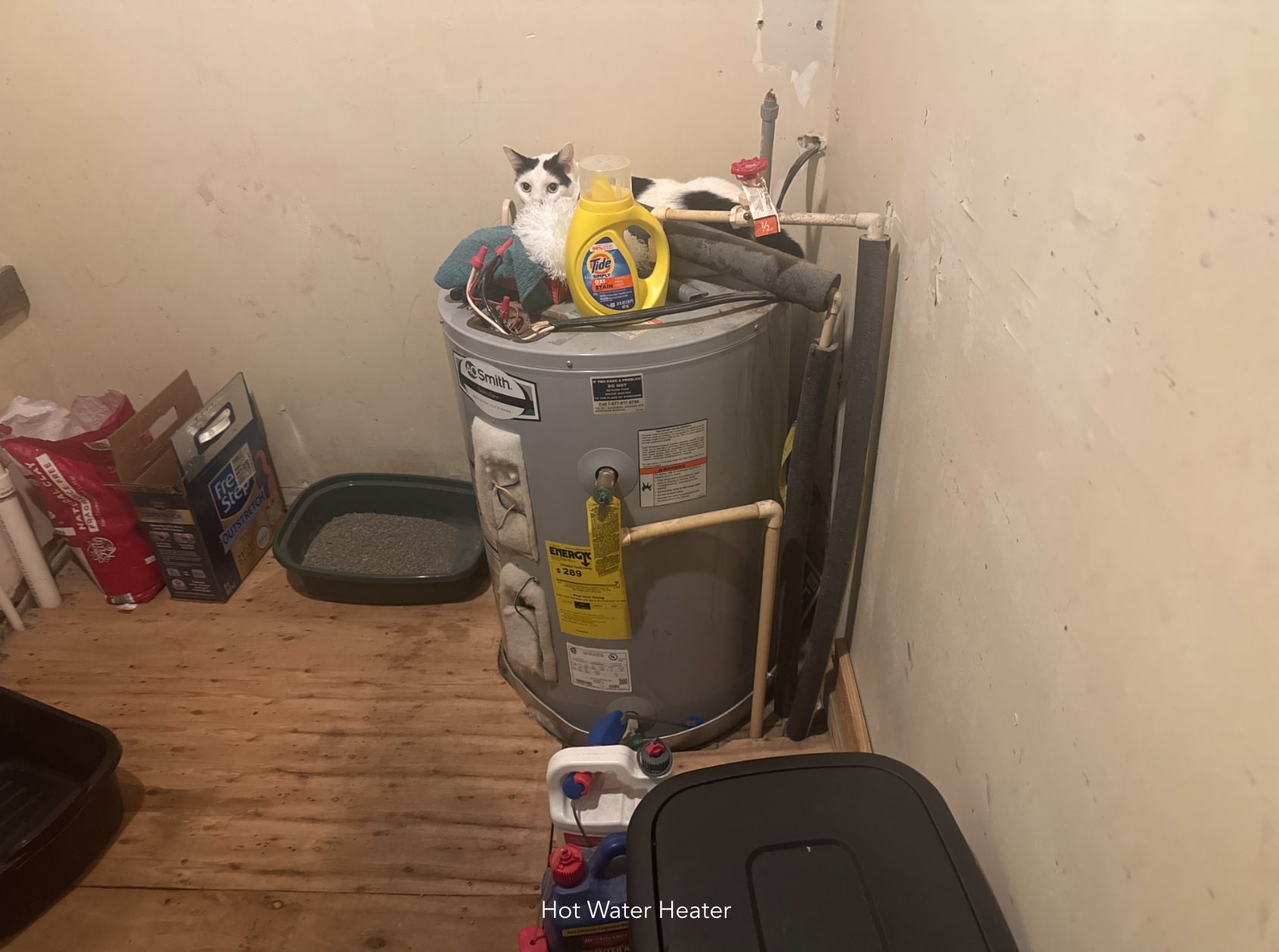 1047 Perry Switch Road Jackson, TN 38301 - Photo 26 of 36 a view of washer and dryer