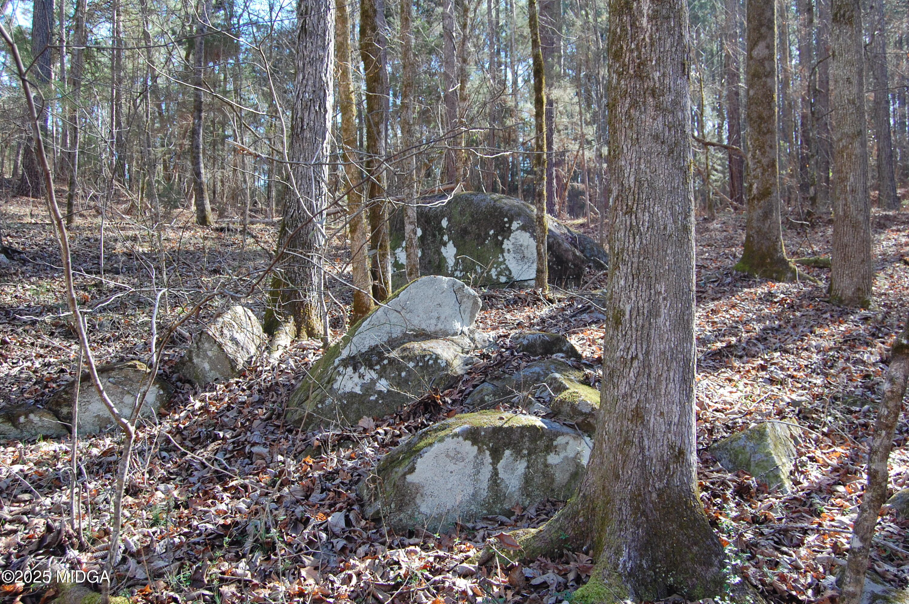 0 Eastover Road White Plains, GA 30678 - Photo 15 of 25 DSC_0355