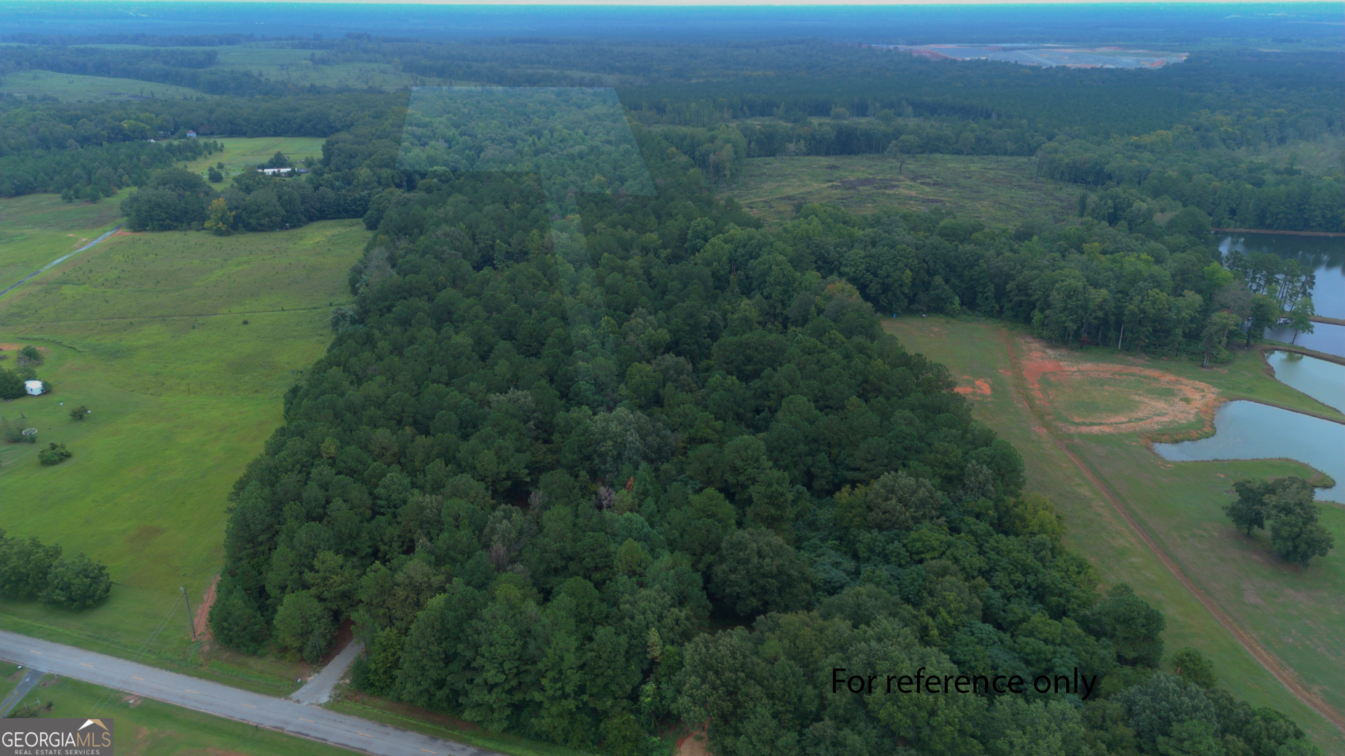 0 Grovania Road Hawkinsville, GA 31025 - Photo 1 of 20