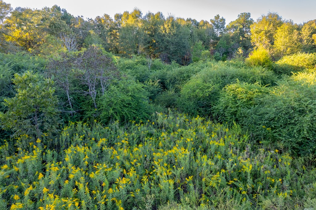 2226 Randall Wade Road Headland, AL 36345 - Photo 18 of 60