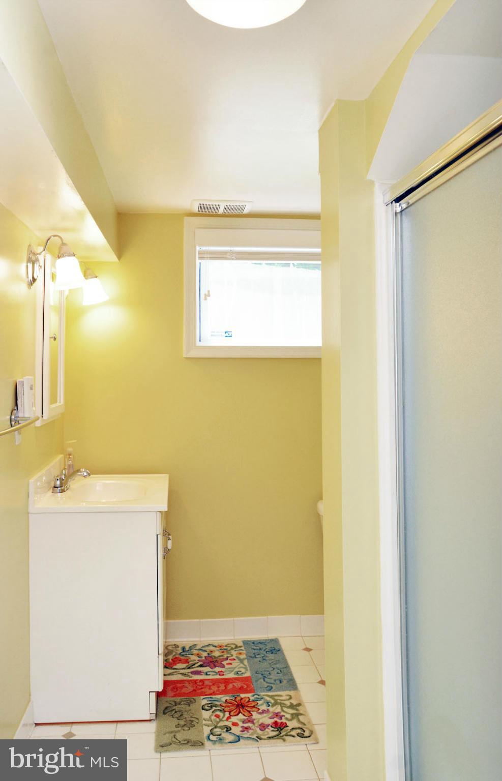 5209 Sangamore Road Bethesda, MD 20816 - Photo 25 of 30 Basement Bathroom