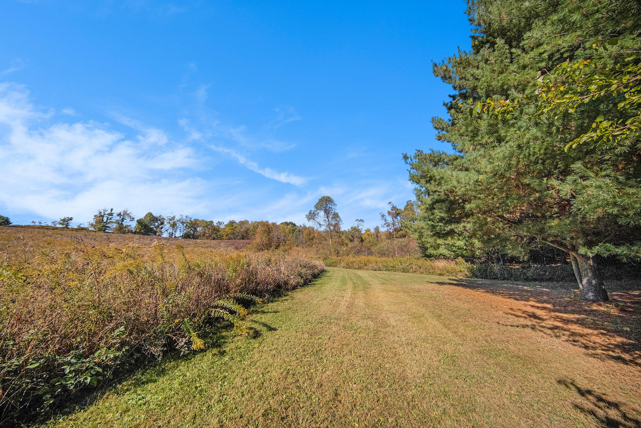 11480 North Adams Road North Adams, MI 49262 - Photo 14 of 28 018_sbp_25_893