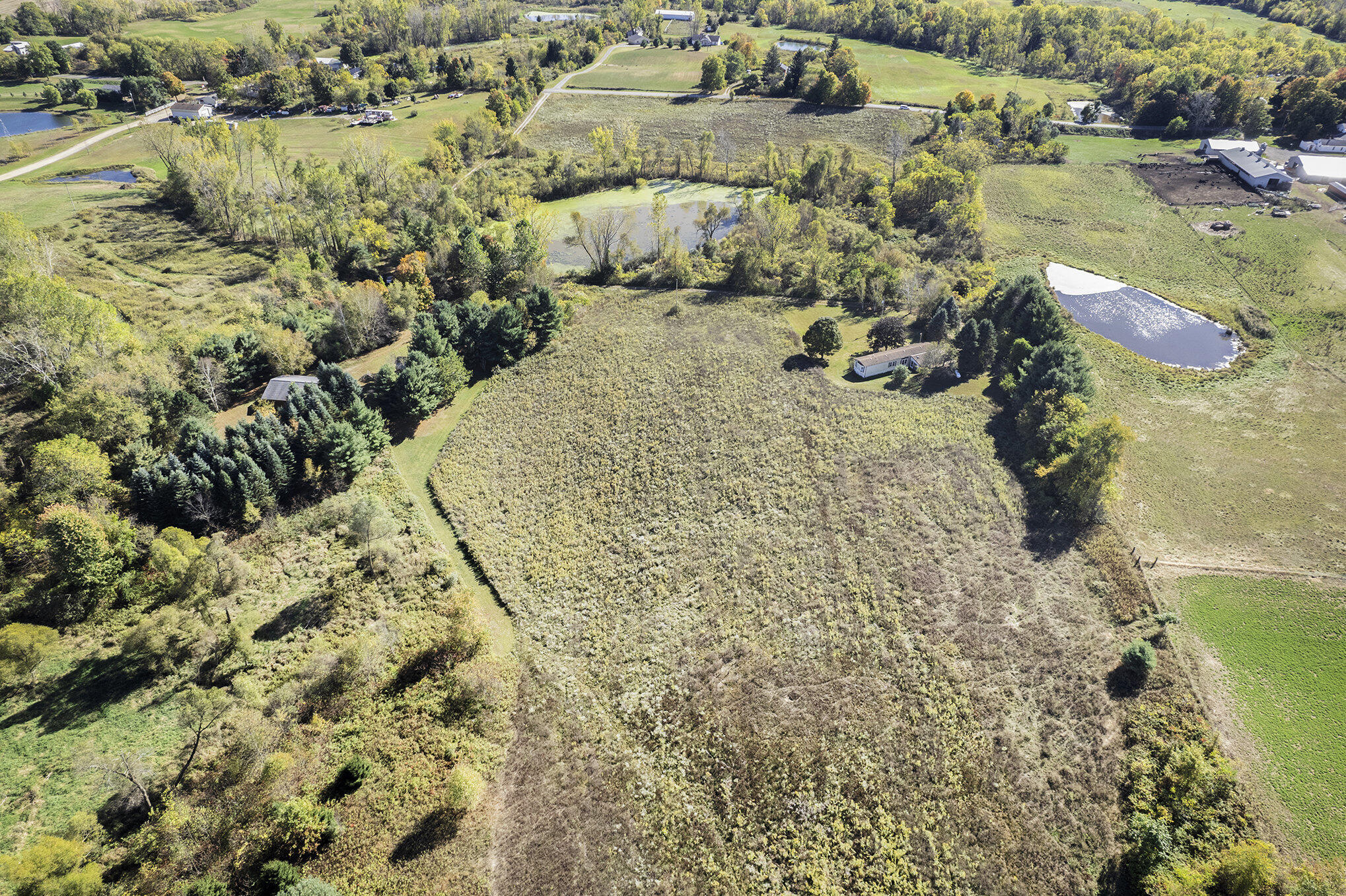 11480 North Adams Road North Adams, MI 49262 - Photo 22 of 28 027_dji_0018_571