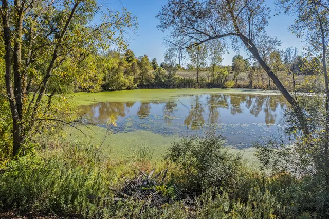 $399,999 | 11480 North Adams Road, North Adams, MI 49262