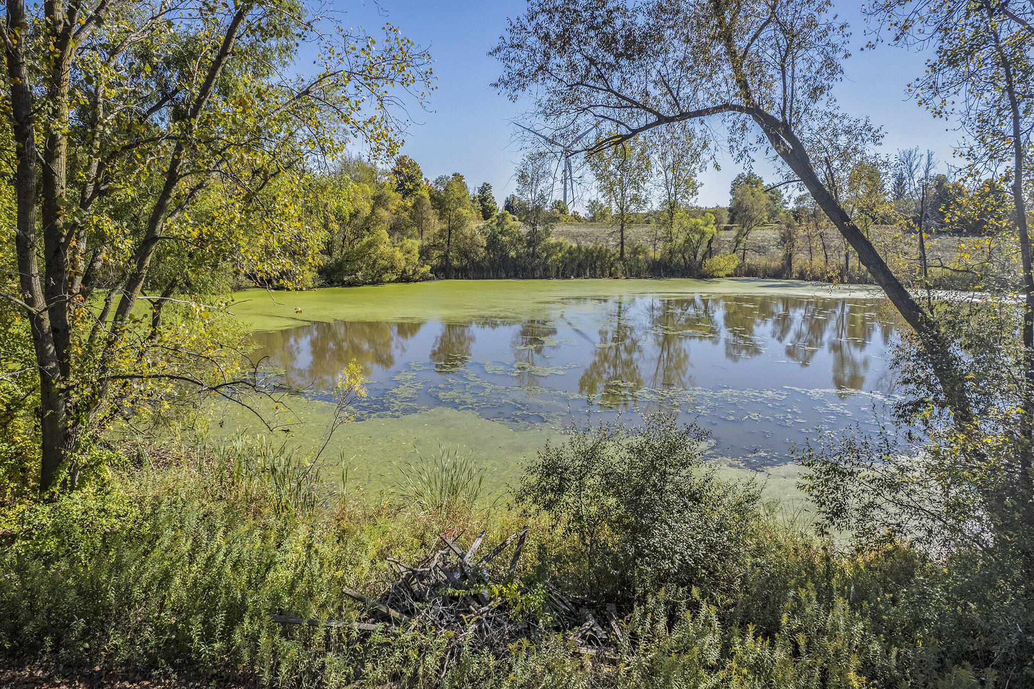 11480 North Adams Road North Adams, MI 49262 - Photo 7 of 28 011_dji_0029_892