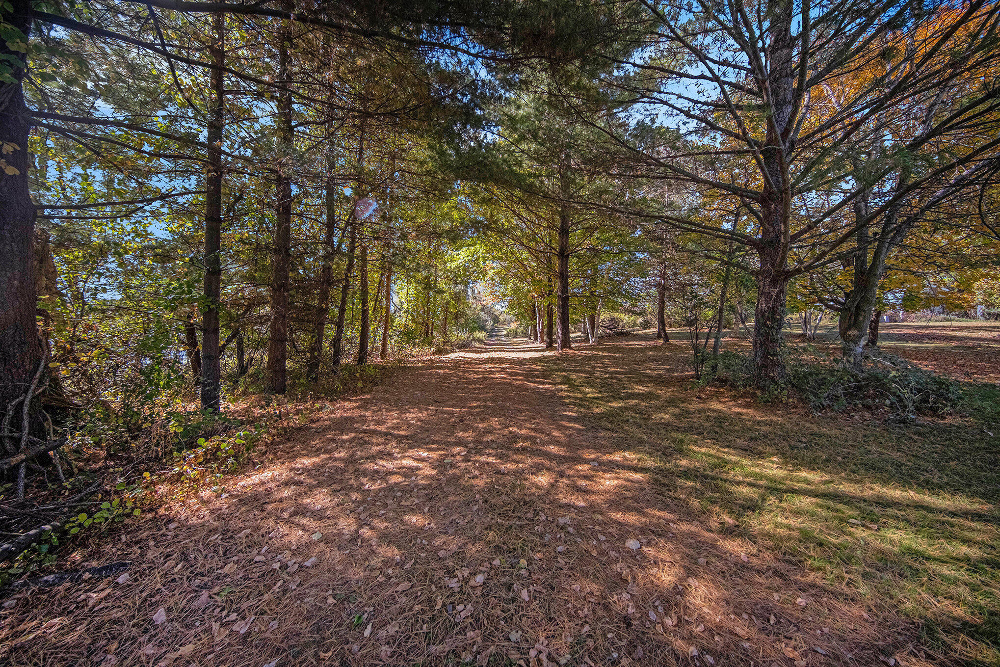 11480 North Adams Road North Adams, MI 49262 - Photo 8 of 28 012_sbp__688