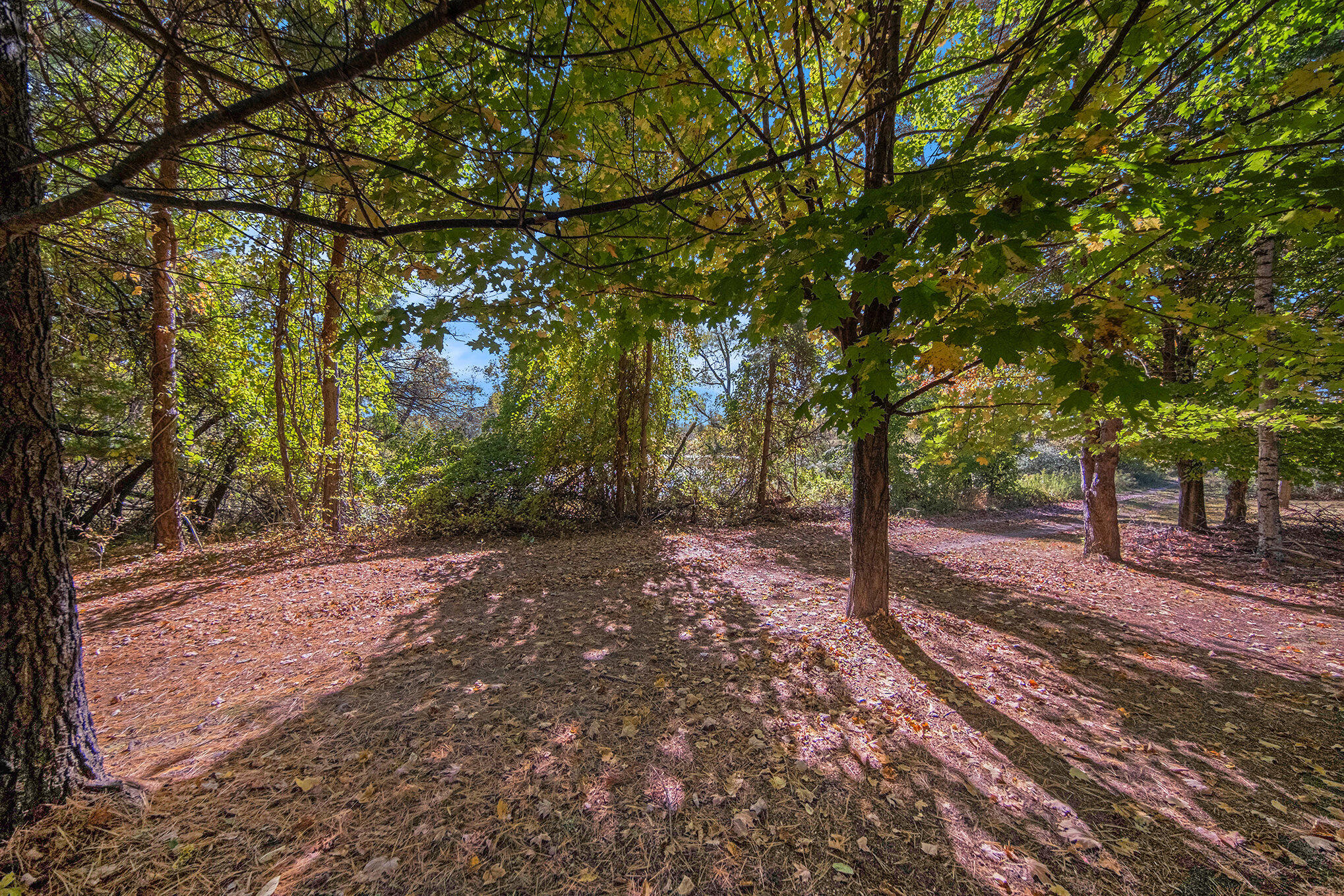 11480 North Adams Road North Adams, MI 49262 - Photo 10 of 28 014_sbp_20_5