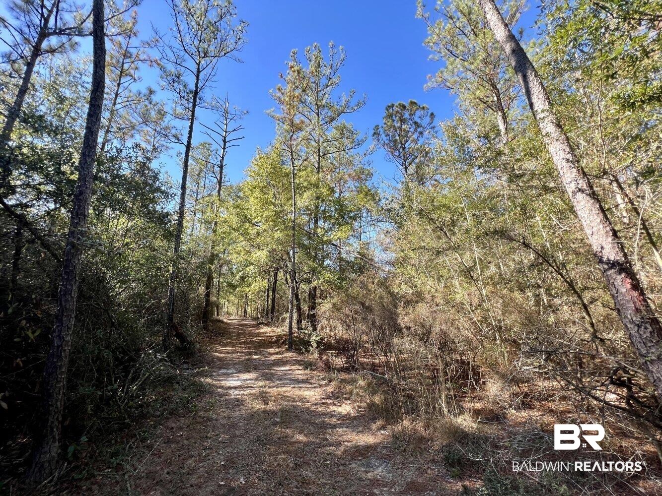 0 C C Road Chunchula, AL 36521 - Photo 14 of 27