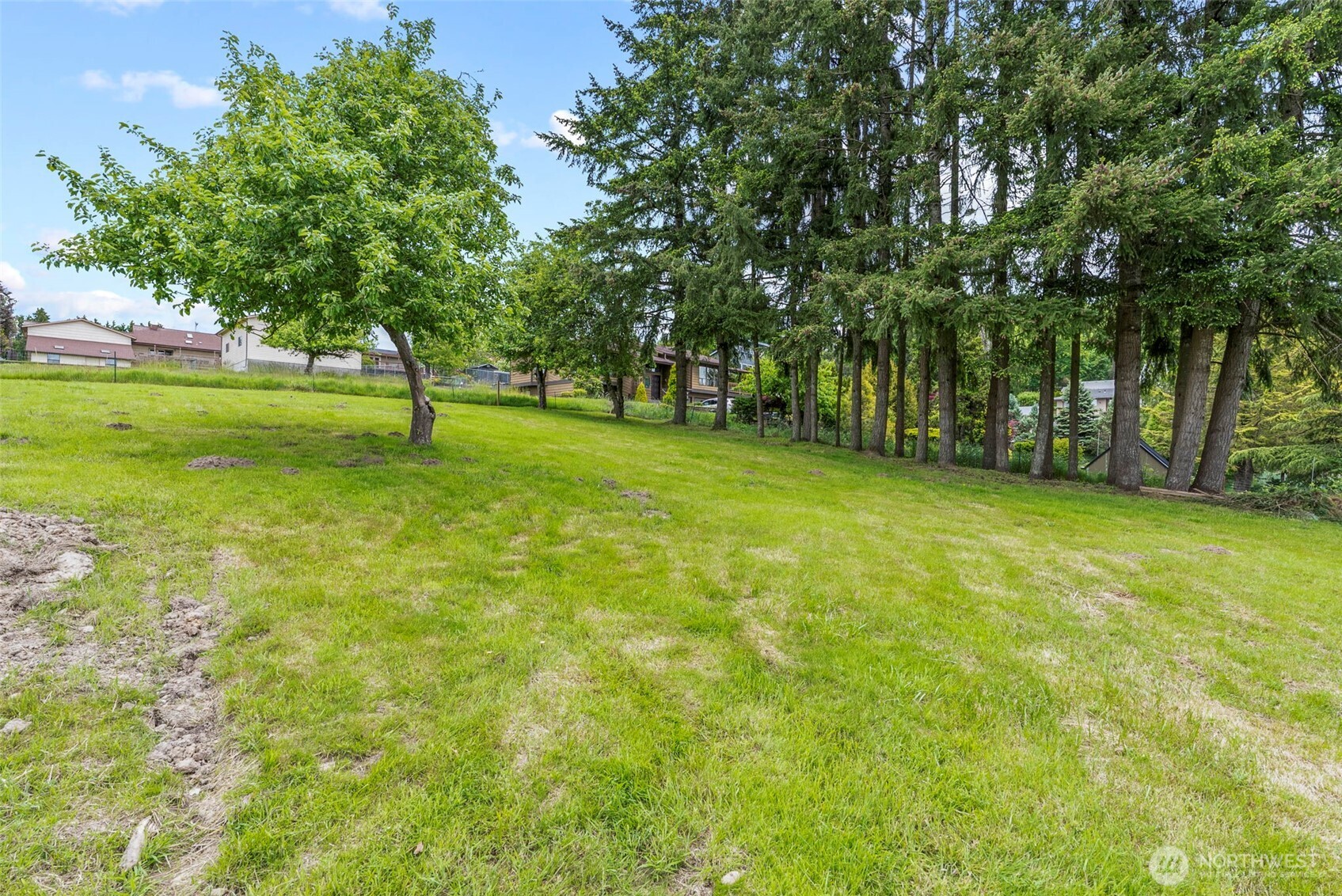 2914 Columbia Heights Road Longview, WA 98632 - Photo 29 of 29 a view of a trees with a big yard