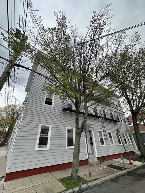 148 5th Street, Unit 2 Cambridge, MA 02141 - Photo 12 of 14 a view of a white house with a large tree