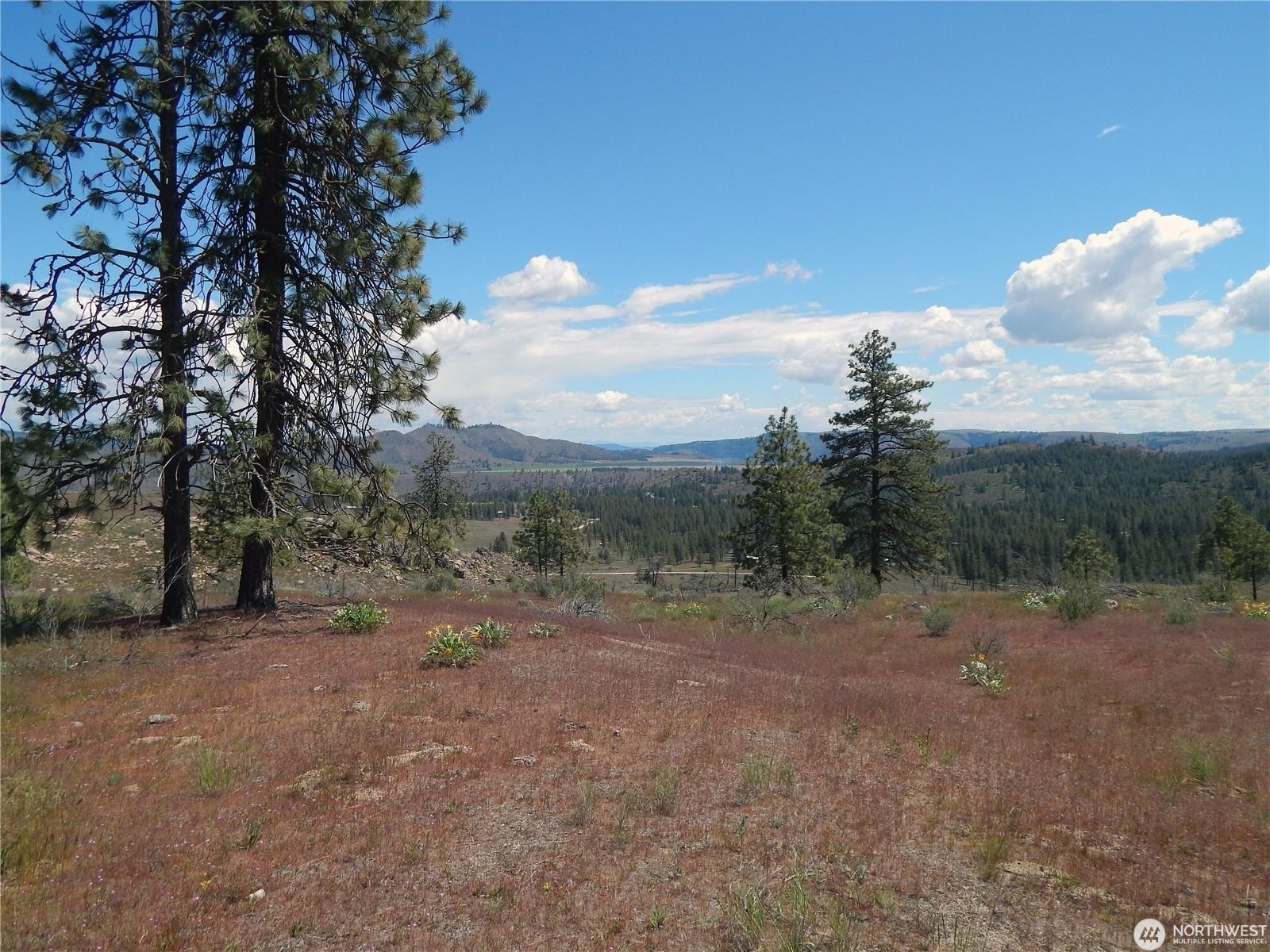 2 Hart Road Davenport, WA 99122 - Photo 1 of 25