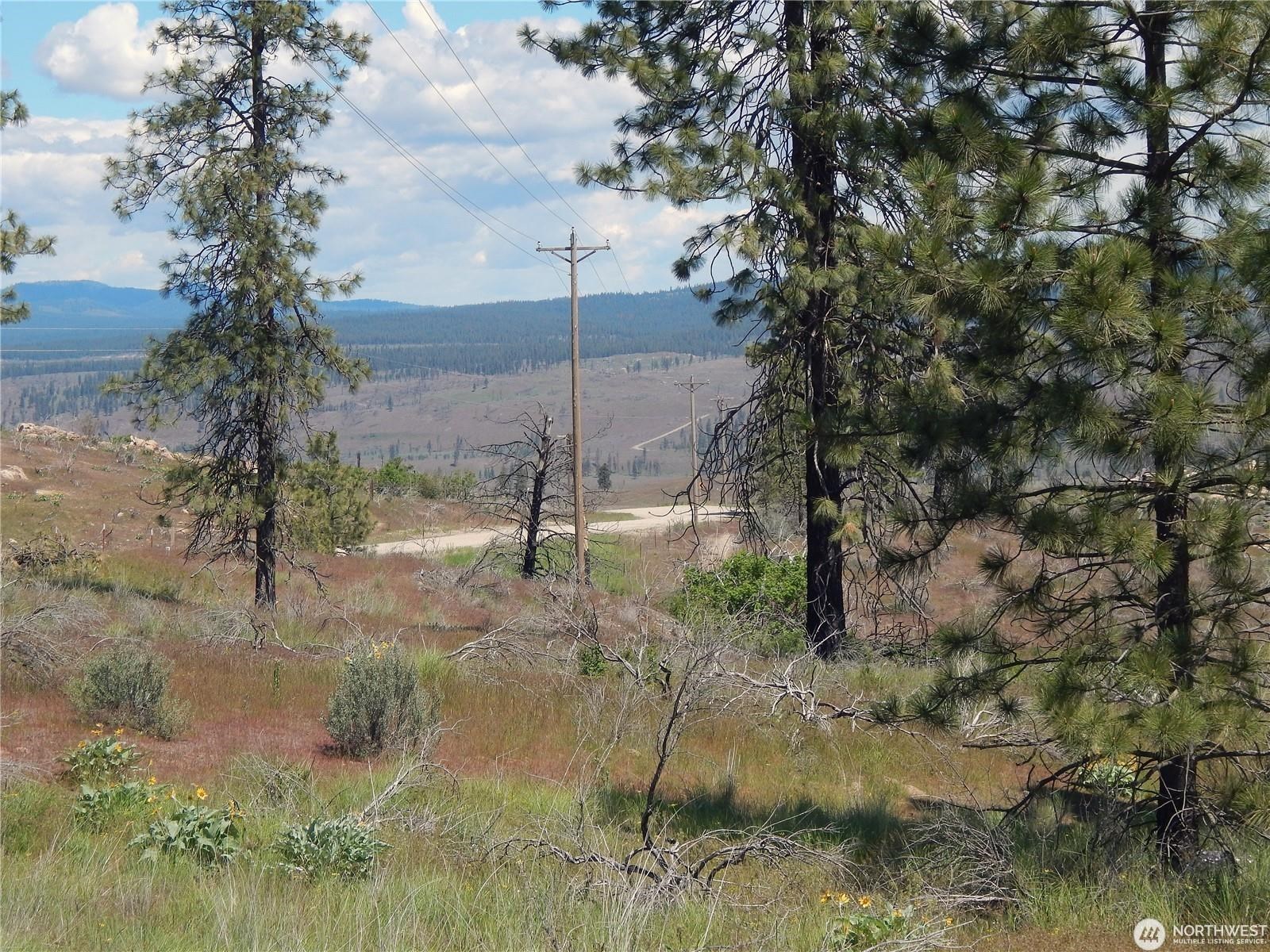 2 Hart Road Davenport, WA 99122 - Photo 11 of 25