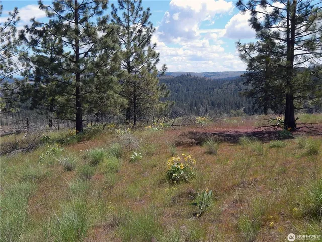 $119,000 | 2 Hart Road, Davenport, WA 99122