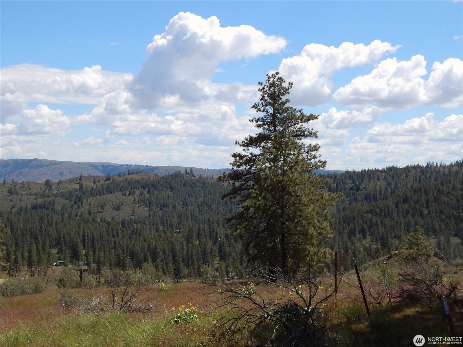 2 Hart Road Davenport, WA 99122 - Photo 15 of 25