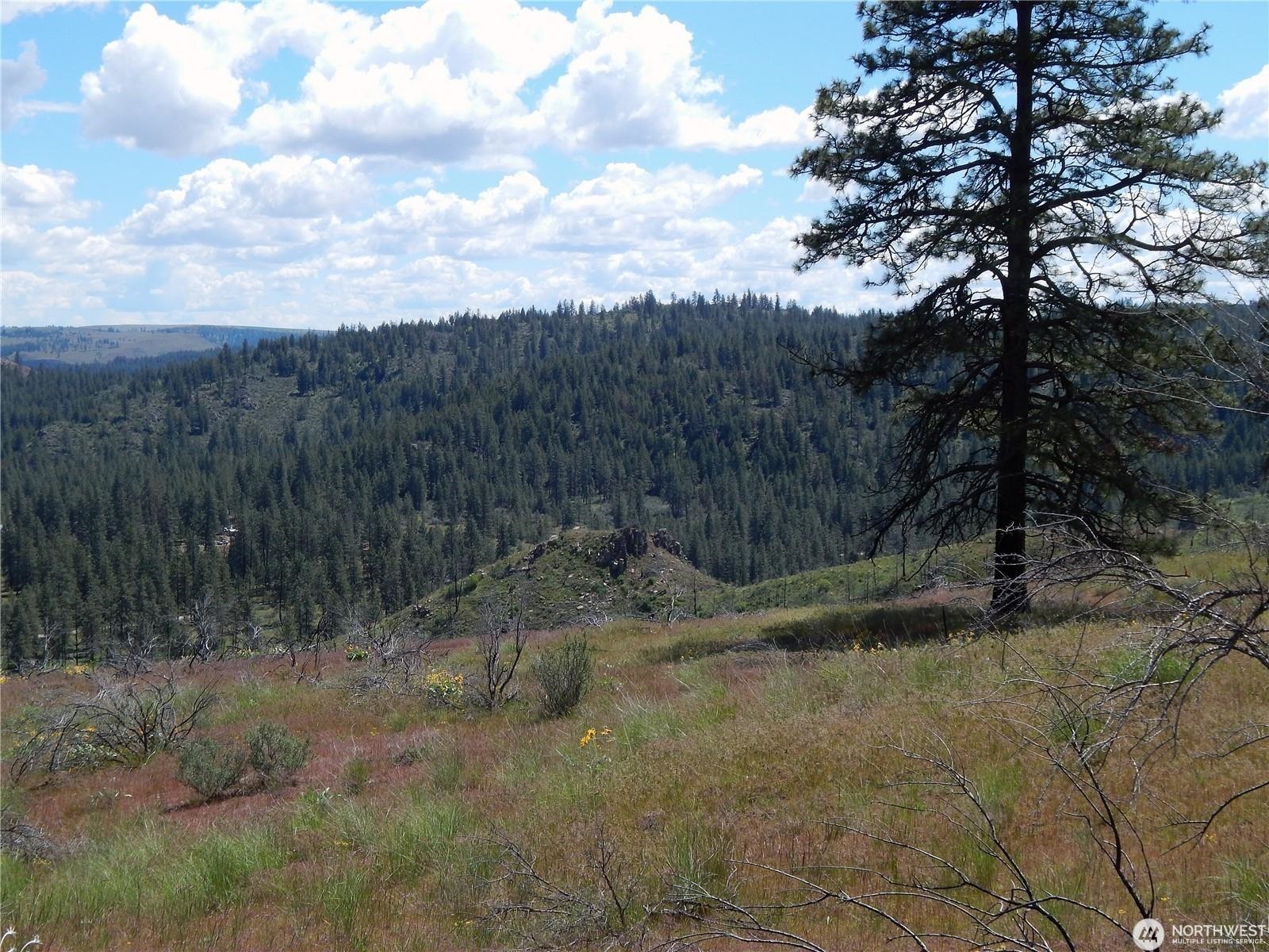 2 Hart Road Davenport, WA 99122 - Photo 17 of 25