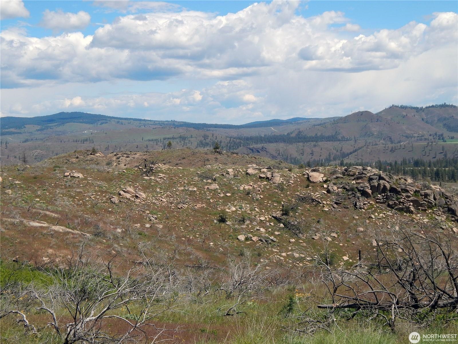 2 Hart Road Davenport, WA 99122 - Photo 18 of 25