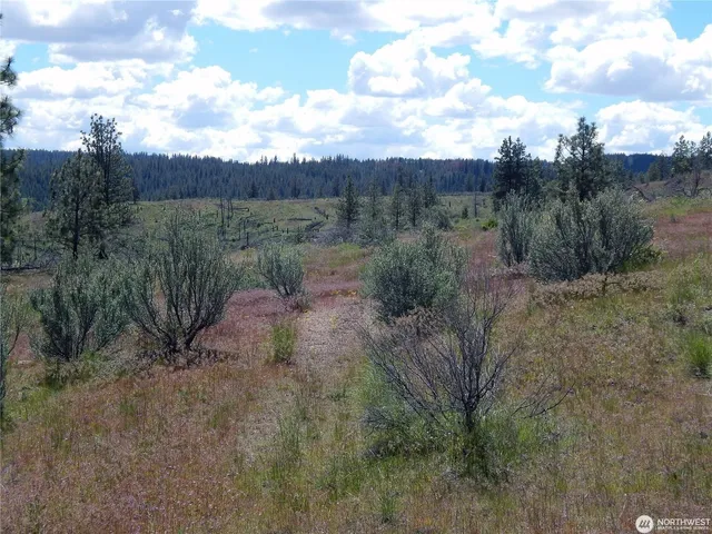 $119,000 | 2 Hart Road, Davenport, WA 99122