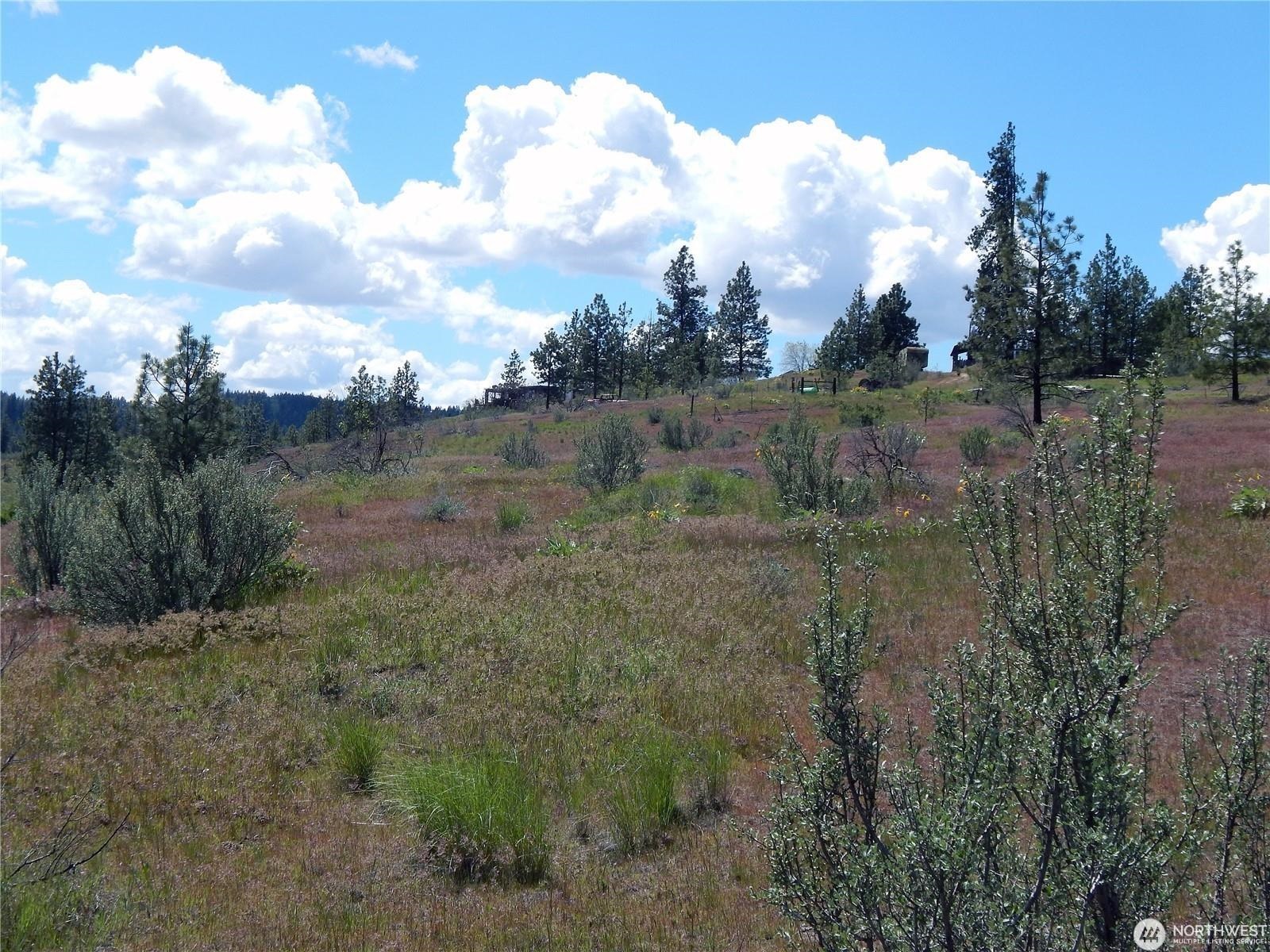 2 Hart Road Davenport, WA 99122 - Photo 20 of 25