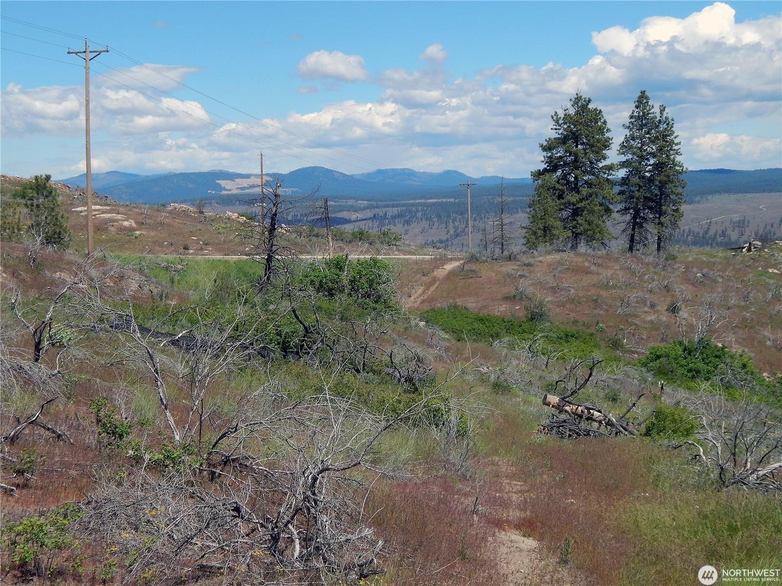 2 Hart Road Davenport, WA 99122 - Photo 21 of 25